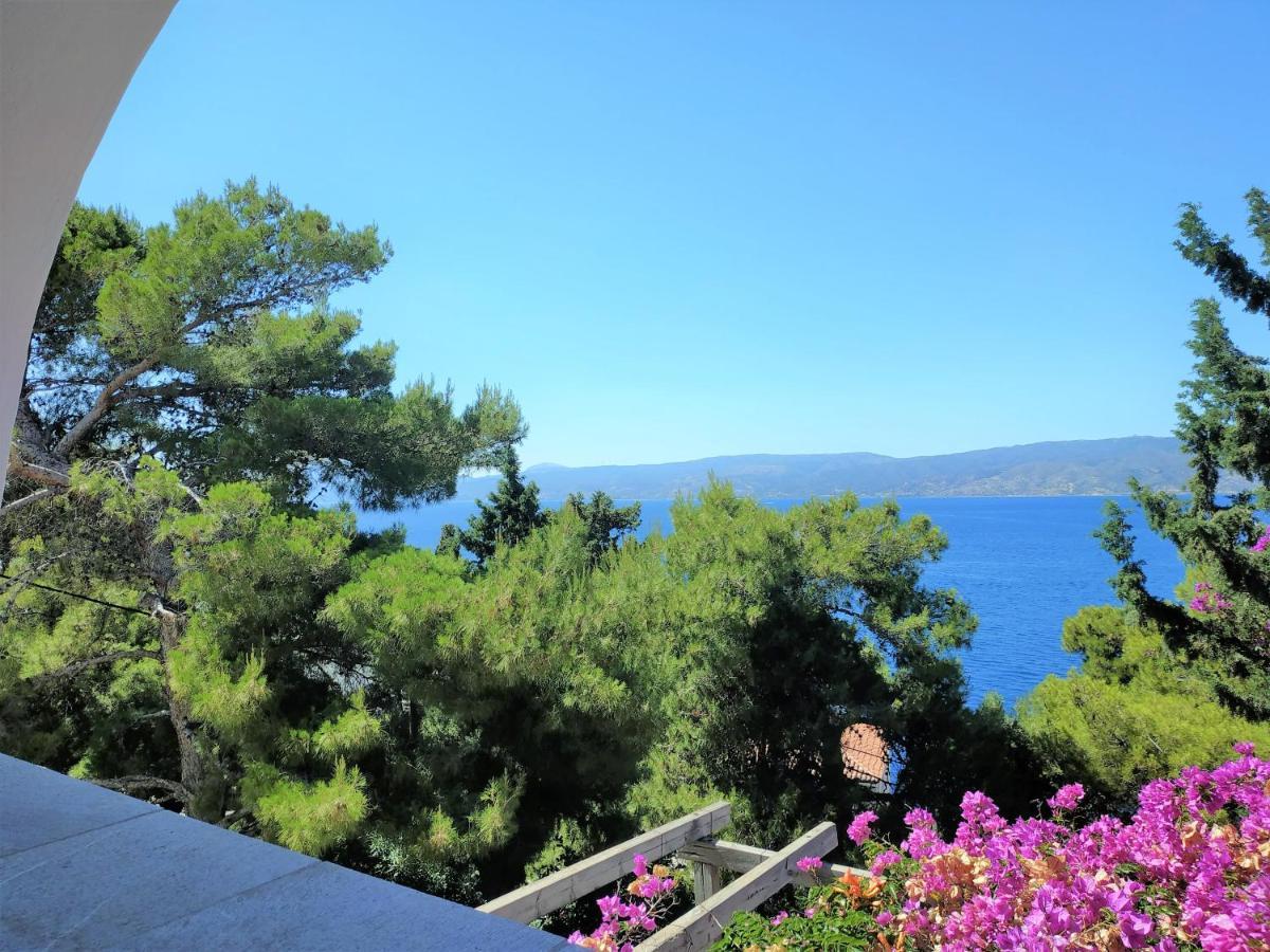 Pine Trees And Sea View Houses In Hydra - Daphne, Chloe, Myrto, Eleni Ngoại thất bức ảnh