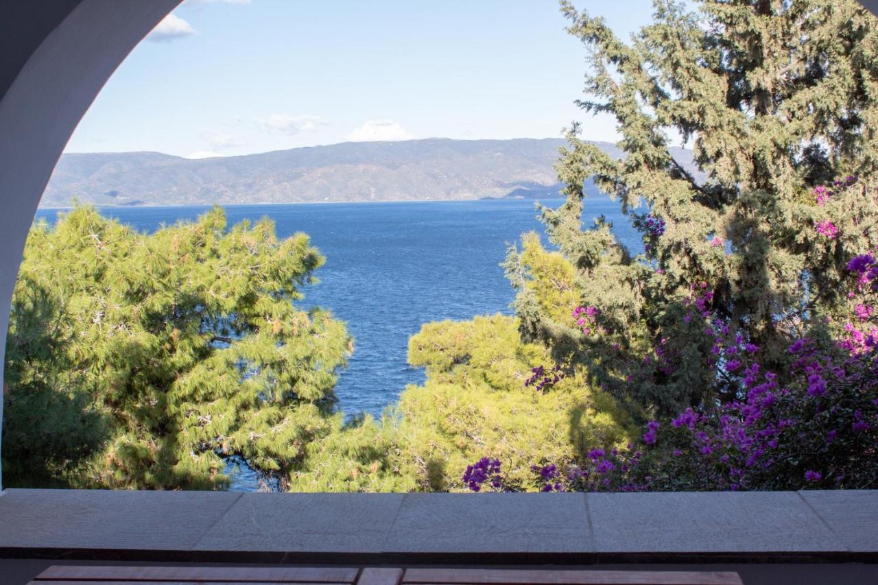 Pine Trees And Sea View Houses In Hydra - Daphne, Chloe, Myrto, Eleni Ngoại thất bức ảnh