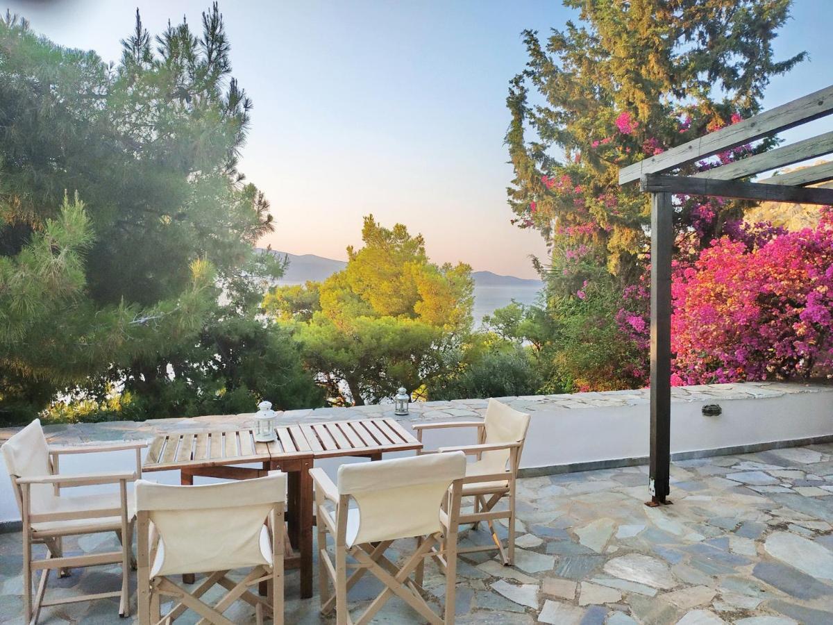 Pine Trees And Sea View Houses In Hydra - Daphne, Chloe, Myrto, Eleni Ngoại thất bức ảnh