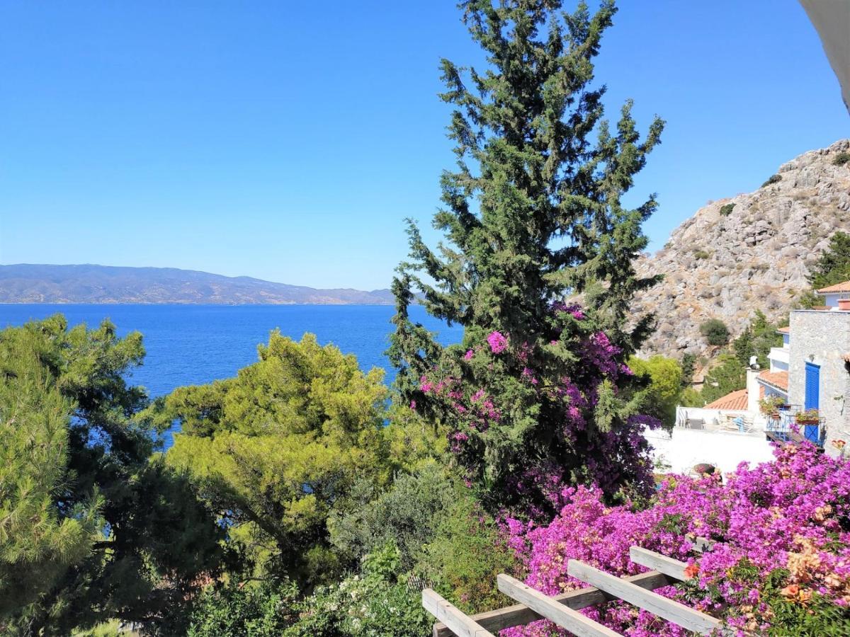 Pine Trees And Sea View Houses In Hydra - Daphne, Chloe, Myrto, Eleni Ngoại thất bức ảnh
