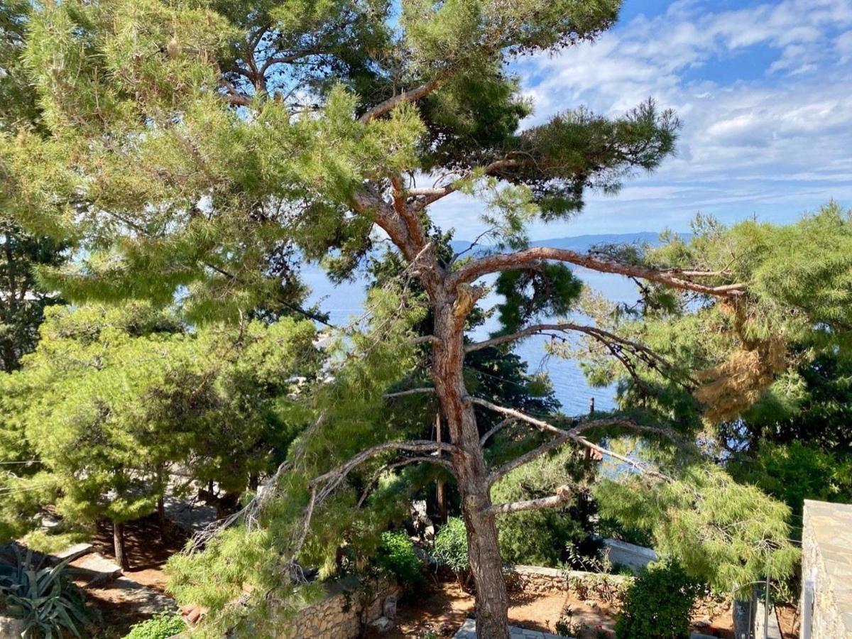Pine Trees And Sea View Houses In Hydra - Daphne, Chloe, Myrto, Eleni Ngoại thất bức ảnh