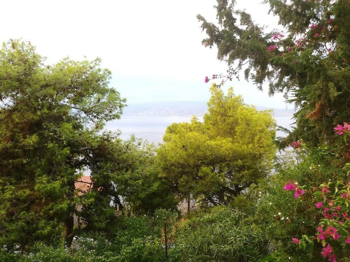 Pine Trees And Sea View Houses In Hydra - Daphne, Chloe, Myrto, Eleni Ngoại thất bức ảnh