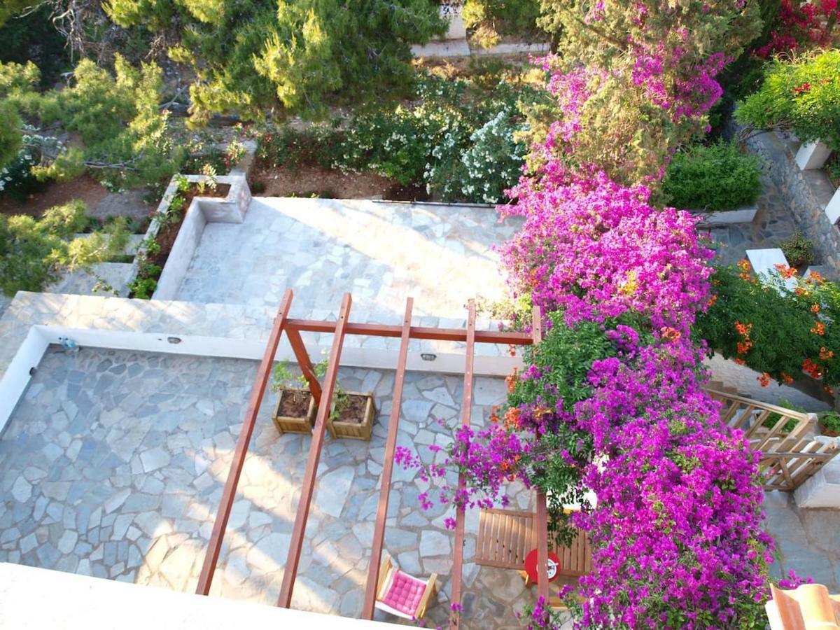 Pine Trees And Sea View Houses In Hydra - Daphne, Chloe, Myrto, Eleni Ngoại thất bức ảnh